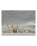 Wild Turkey Shot Glass Set (6 Glasses) in wooden and glass box